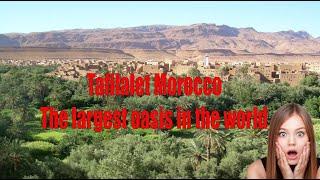 Tafilalet, The largest Oasis in the world- Drâa-Morocco