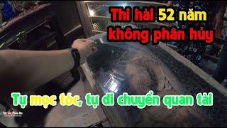 THI HÀI 52 năm TỰ DI CHUYỂN, TÓC TỰ MỌC DÀI | PHONG BỤI