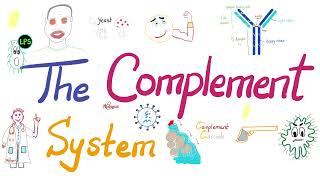 The Complement System | The most COMPREHENSIVE Explanation