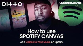 How To Use SPOTIFY CANVAS | Add Videos To Your Music On Spotify | Ditto Music