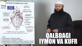 Qalbdagi iymon va kufr || Shayx Sodiq Samarqandiy