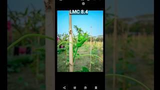 gcam lmc config setup #gcam #gcamlmc