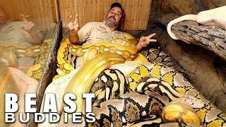 'Snake God' Wrestles 20ft Pythons | BEAST BUDDIES