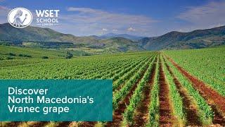 Discover North Macedonia's Vranec grape with Zvonko Herceg