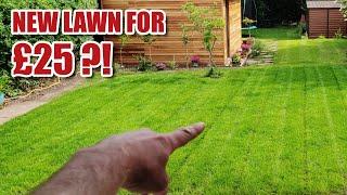 Making a NEW LAWN from scratch