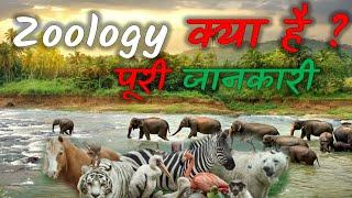 What is Zoology  How Many Branches In Zoology  Full Information – Hindi – 2021