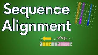 Protein Sequence Alignment in Theory and Practice