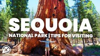 Tips for visiting SEQUOIA NATIONAL PARK