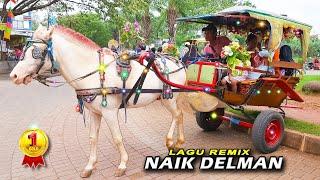 NAIK DELMAN ISTIMEWA ~ Naik KUDA dan DELMAN Cikunir, BKT, Jogja, Tuban