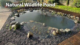 Lost Habitat® - Wildlife Pond