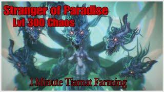 Stranger of Paradise Lvl 300 Chaos - Farming Tiamat in 1 minute