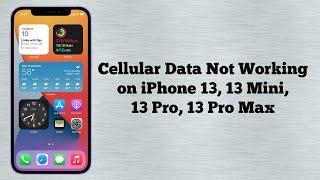 Cellular Data Not Working on iPhone 13, 13 Mini, 13 Pro, 13 Pro Max - Fixed