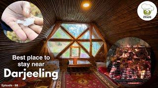 Best Place Near DARJEELING |  Alstroemeria Farm Stay | Offbeat Darjeeling | Chatakpur |