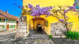 Erlach is a dreamy Swiss village full of lilacs  Spring in Switzerland 