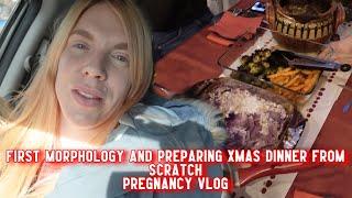 First Morphology and Making Christmas Dinner From Scratch (With Prep Talk Through) - Pregnancy Vlog