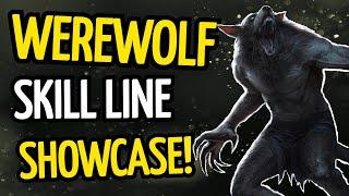 NEW Werewolf Skills Showcase - The Elder Scrolls Online Greymoor Chapter