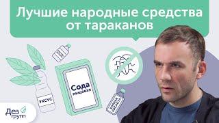 Лучшие народные средства от тараканов | Как уничтожить тараканов | Советы от СЭС