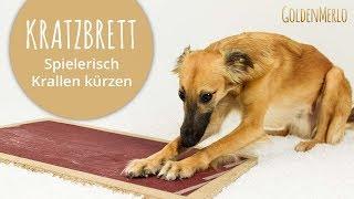 Alternative zum Krallen schneiden: Kratzbrett für den Hund [DIY]