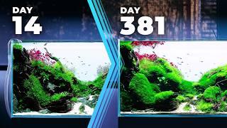 The SECRET of having a LONG-LASTING Planted Aquarium | Aquascaping Q&A #4