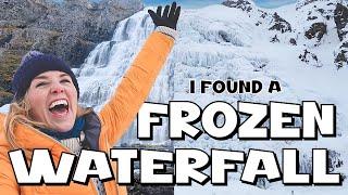 Let's find a FROZEN waterfall in Iceland! | Maddie Moate