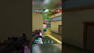 Clove Ace on Haven #valorant #competitive #ace #clove #haven #valorantclips #gaming #gamer #game