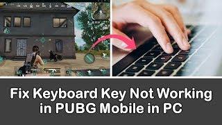 How to Fix Keyboard Keys Not Working in PUBG Mobile on PC