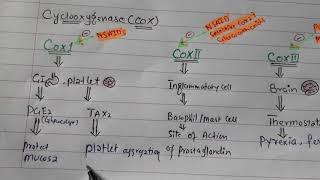 NSAID Pharmacology introduction