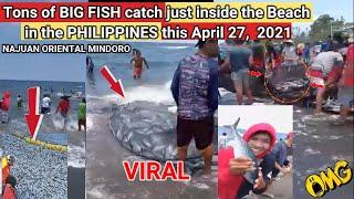 Tons of BIG FISH catch in the PHILIPPINES at  NAJUAN ORIENTAL MINDORO GOES VIRAL  this April 27,2021