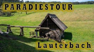 Paradiestour: Lauterbacher Hochtalrunde (Wanderung Schwarzwald)