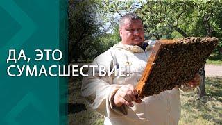 Гладит пчёл и собирает тонны мёда! У этого пасечника даже дом в виде соты! // Как нужно любить пчёл?