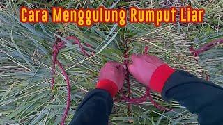 tutorial cara menggulung rumput liar - zukry channel