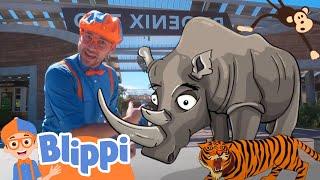 Blippi Visits The Zoo | Learning Zoo Animals For Kids | Educational Videos For Toddlers