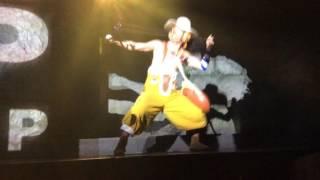 One piece Tokyo Tower Show Strawhat entrances