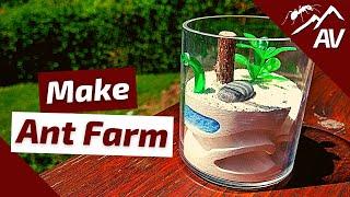 How to Build an Ant Farm | Compact Plaster Formicarium