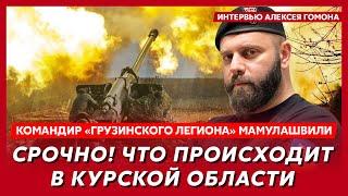 Трамп объявил войну Зеленскому и Украине, почему Трамп за Путина – командир «Грузинского легиона»