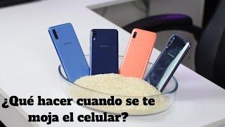 ¿Qué hacer cuando se te moja el celular?