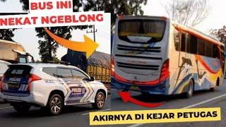 Bus Sugeng Rahayu ngeblong di kejar Polisi !! auto ditilang #bussugengrahayu #busngeblong