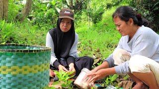 YU MURNI IKUT PETUALNGAN|| NASI LIWET TUTUT SUNGAI