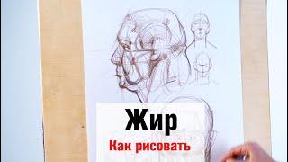 Как рисовать "Жир" - А. Рыжкин