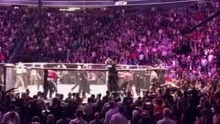 ufc 229 khabibs team attacks connor mcgregor (video from audience) Behind scene