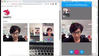 nhancv Flutter Webrtc