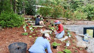 Fun, New Landscaping to the Chicken Coop