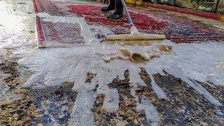 Time-Lapse Cleaning Super Dirty Carpet With Manual Brushing | ASMR