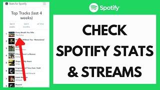 How To Check Spotify Stats and Streams (Spotify For Artist)