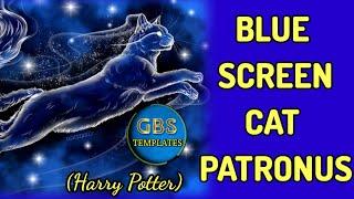 Blue Screen Harry Potter Cat Patronus