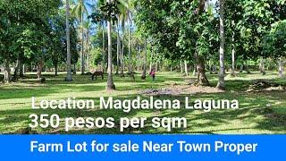 #Vlog250 FARM LOT FOR SALE 100% FLAT LAND COCONUT FARM | NEAR TOWN PROPER OF MAGDALENA LAGUNA