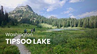 Stunning Wildflowers Hike 🪻Tipsoo Lake Mount Rainier National Park, Washington | Seattle Silent Vlog