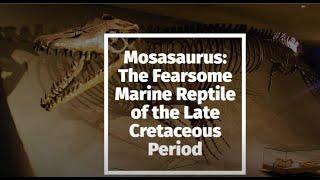 Mosasaurus: The Fearsome Marine Reptile of the Late Cretaceous