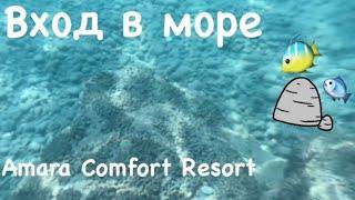 Что под водой? Вход в море в отеле Амара Комфорт Резорт / Amara Comfort Resort август 2024