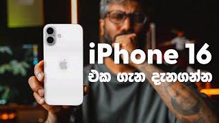 iPhone 16 & 16 Pro අලුත්ම තොරතුරු